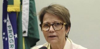 Seguro rural deverá ser ampliado, afirma Tereza Cristina