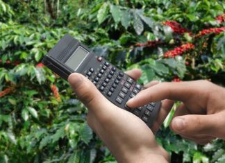 Preço do café robusta dispara com aumento no “blend” da indústria e fluxo lento