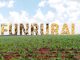Fique por dentro das novidades do Funrural