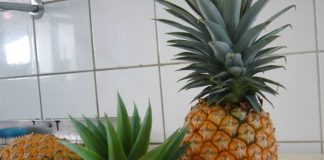 Produtores de abacaxi do Espírito Santo em busca da Indicação Geográfica (IG)