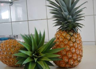 Produtores de abacaxi do Espírito Santo em busca da Indicação Geográfica (IG)