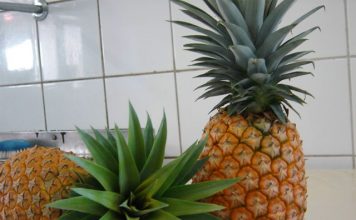 Produtores de abacaxi do Espírito Santo em busca da Indicação Geográfica (IG)