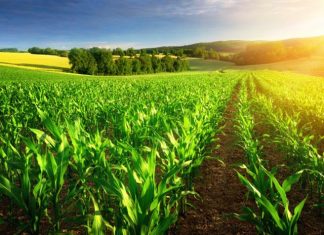 Início de semana ensolarado e com aumento de temperaturas no Espírito Santo