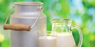 Habilitação no Programa Mais Leite Saudável poderá ser feita online