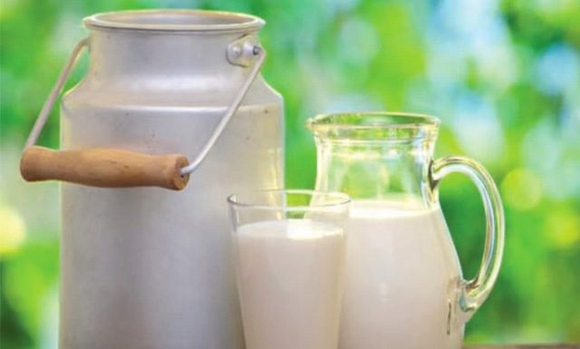 Habilitação no Programa Mais Leite Saudável poderá ser feita online