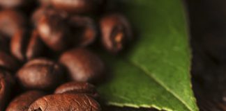 Inédito no Brasil, Avança Café incentiva inovação por meio de startups