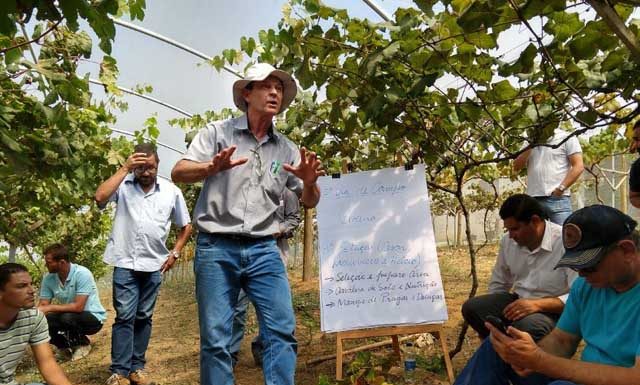 Marechal Floriano discute melhores técnicas de cultivo e processamento de uvas para vinho e suco