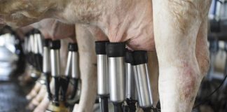 Frente Parlamentar da Agropecuária reage contra queda de antidumping do leite