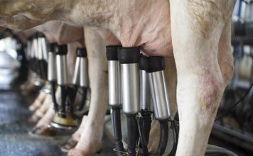 Frente Parlamentar da Agropecuária reage contra queda de antidumping do leite