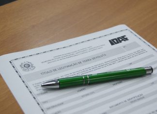 Terras devolutas: saiba como regularizar e conseguir a documentação do imóvel