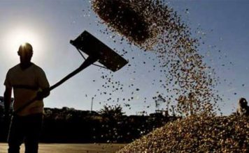 CNA abre inscrição para rodada de negócios de cafés diferenciados