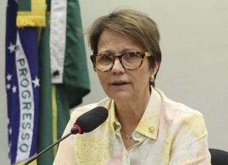Agricultura estuda medidas para minimizar impactos do fim do antidumping na produção de leite em pó