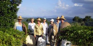 Produtores rurais do Espírito Santo já podem baixar e usar aplicativo Nota Fiscal Fácil