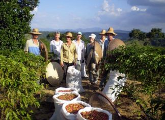 Parceria entre Anater e Incaper potencializa agricultura familiar no Espírito Santo