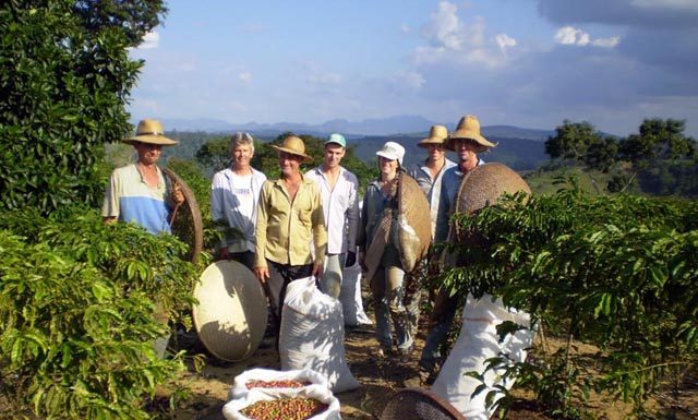 Produtores rurais do Espírito Santo já podem baixar e usar aplicativo Nota Fiscal Fácil