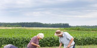 Espírito Santo receberá primeira Caravana de Educação Sanitária