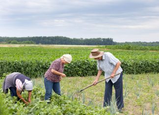 Espírito Santo receberá primeira Caravana de Educação Sanitária