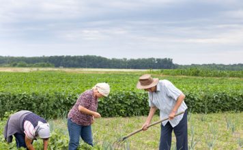 Espírito Santo receberá primeira Caravana de Educação Sanitária