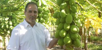 José Roberto Macedo Fontes – Diretor executivo da Brapex