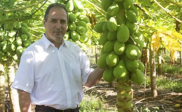 José Roberto Macedo Fontes – Diretor executivo da Brapex