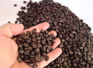 Centro do Comércio de Café de Vitória prevê que exportações de café no ES devem superar os 770 milhões de dólares