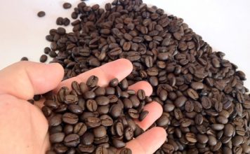 Cafés produzidos no Espírito Santo em destaque na SIC 2019