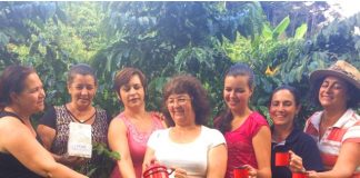 Cooperativa investe em café de alta qualidade produzido exclusivamente por mulheres