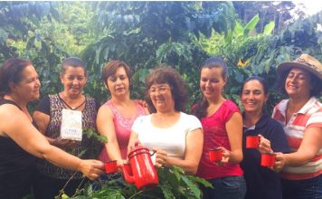 Cooperativa investe em café de alta qualidade produzido exclusivamente por mulheres