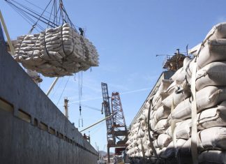 Café: Brasil embarca 3,109 mi de sacas em fevereiro, aumento de 36,9%