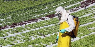 Idaf apresenta protótipo de sistema de controle de agrotóxicos