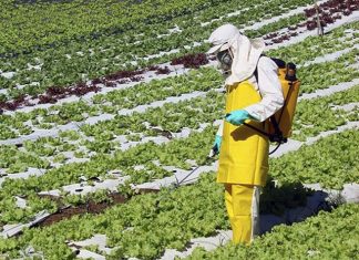 Idaf apresenta protótipo de sistema de controle de agrotóxicos