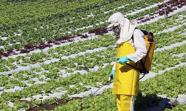 Idaf apresenta protótipo de sistema de controle de agrotóxicos