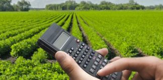 Brasil tem safra recorde e fatura R$ 1,13 trilhão em 2023