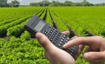 PIB-Agro: Avanço do PIB do agro do 1º semestre é de quase 10%