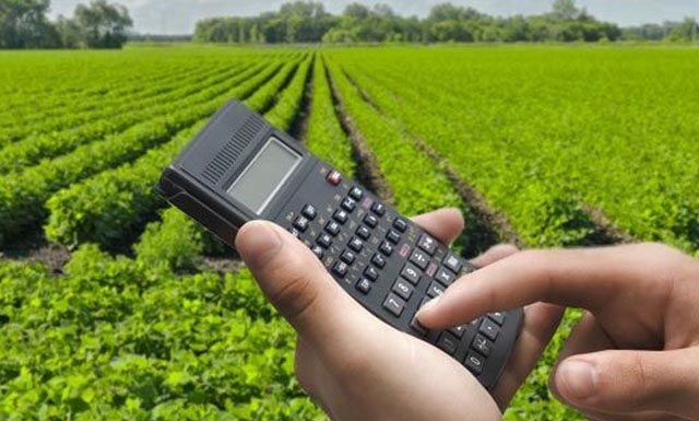 PIB do agronegócio cai 2,99% em 2023