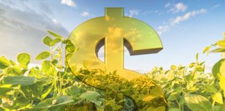 Governo Federal ajusta distribuição de limites equalizáveis do Plano Safra 2022/2023