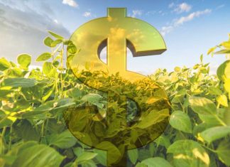 Governo Federal ajusta distribuição de limites equalizáveis do Plano Safra 2022/2023