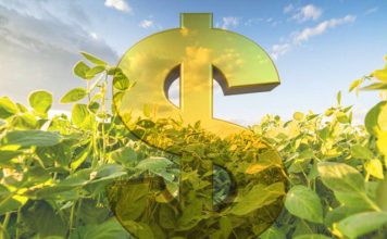 Setor produtivo e governo debatem aumento de ICMS para os fertilizantes