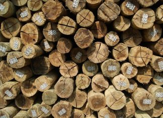 Últimos dias para renovação de registro florestal