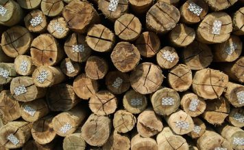 Últimos dias para renovação de registro florestal