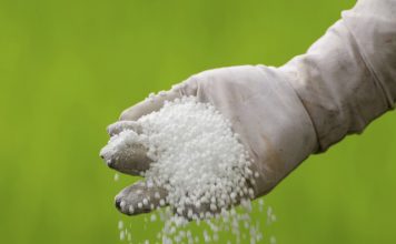 Fertilizantes puxam recorde de comércio entre Brasil e Canadá
