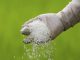 Fertilizantes passam a ter registro automático
