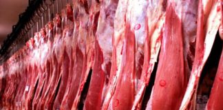 Brasil tem boa expectativa para reabertura dos EUA à carne bovina, diz ministra