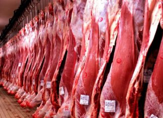 Volume exportado de carne bovina cresceu 14,2%