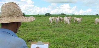 CNA solicita medidas de apoio para produtor superar crise e manter produção