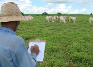 CNA solicita medidas de apoio para produtor superar crise e manter produção