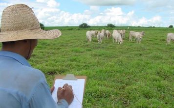CNA solicita medidas de apoio para produtor superar crise e manter produção