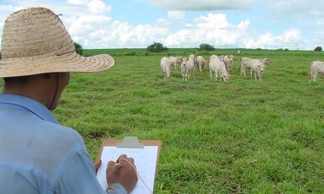 CNA, Federações e sindicatos realizam novos mutirões de renegociação de dívidas