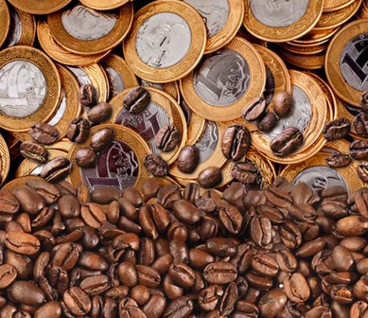 Atualizados custos de produção do café e borracha no ES