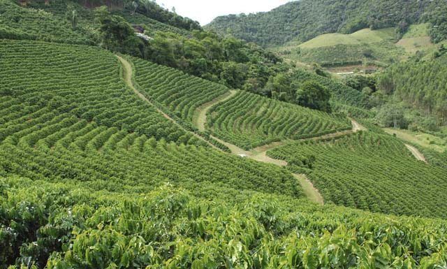 Prazo para entrega do ITR termina na próxima segunda-feira (30)